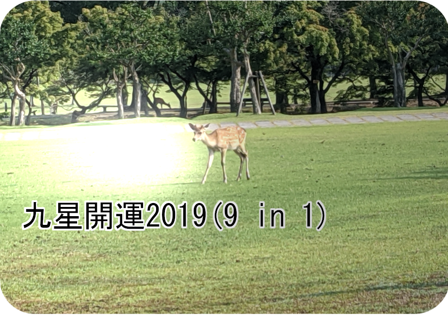 九星開運2019(9 in 1)